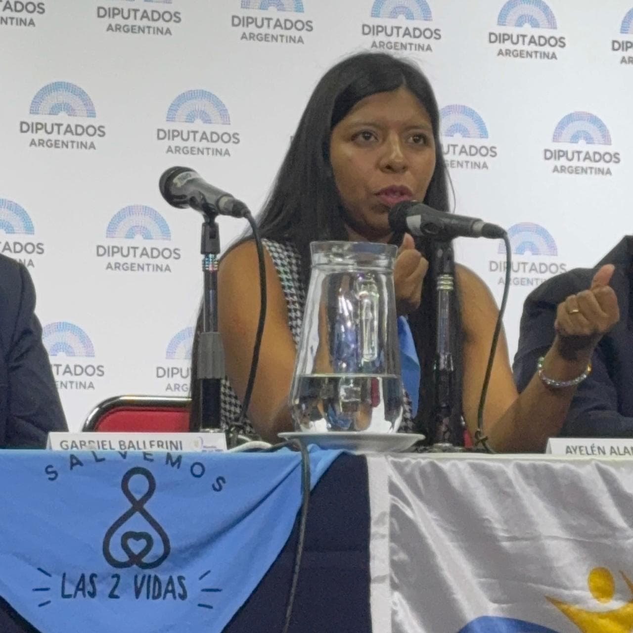 Enlace Parlamentario — Congreso de la Nación